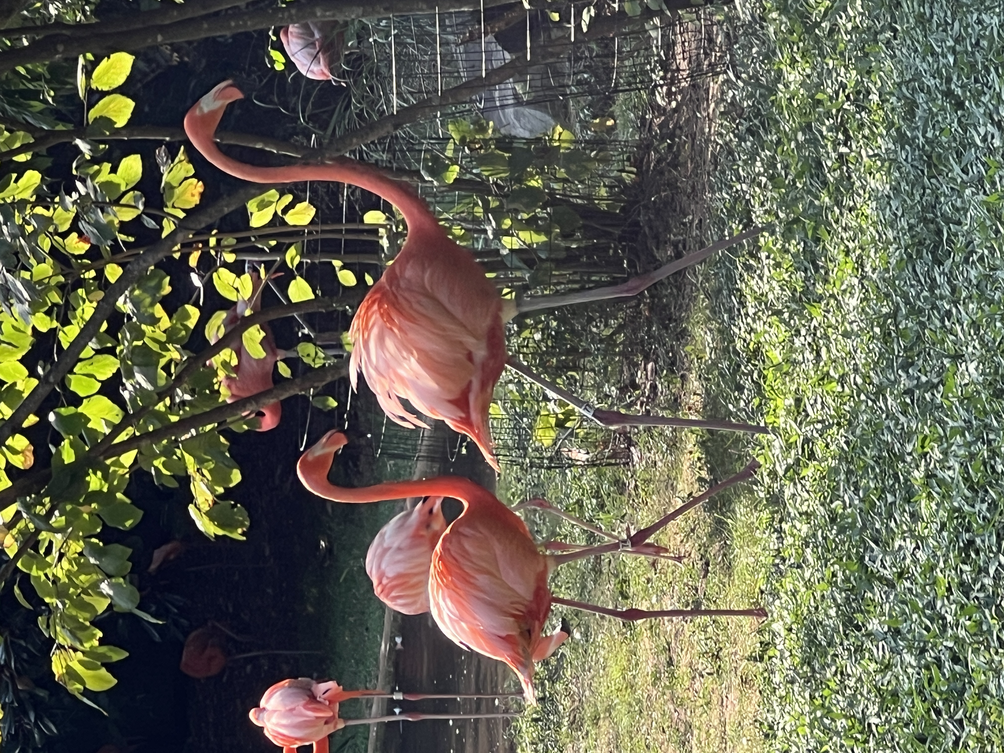 ./2025/11 - Nashville Trip/IMG_7229.JPG